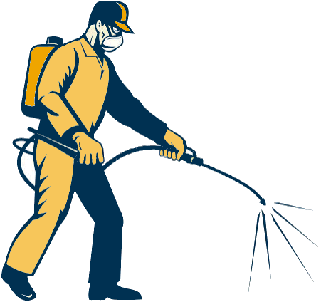 Pest Control. Pest Control Company Albir