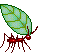 Pest Control. Pest Control Alfaz del Pi.  Pest. Pests. Pest Control Alfaz del Pi. Bugs and Pest Control Alfaz del Pi. Pest Kill Spain