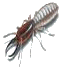 Pest Control. Pest Control Alfaz del Pi. Pest. Pests. Pest Control Alfaz del Pi. Bugs and Pest Control Alfaz del Pi. Pest Kill Spain