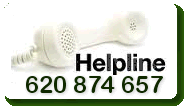 woodworm. Pest. Pests. Pest Control Spain. Bugs and Pest Control Spain. Pest Kill Spain