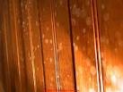 damp, black mold. mold removal. mold mites. mold on walls. mold killer. mold in house. rotten wood. fungus killer. rotten wood treatment. rotten wood repair.