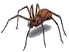 black mold. mold removal. mold mites. mold on walls. mold killer. mold in house. rotten wood. fungus killer. rotten wood treatment. rotten wood repair.