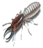 black mold. mold removal. mold mites. mold on walls. mold killer. mold in house. rotten wood. fungus killer. rotten wood treatment. rotten wood repair.