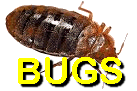 Bugs, Bug Stoppers, Bug Bashers, Bug Beaters, bug busting