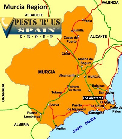 Pest Control Murcia