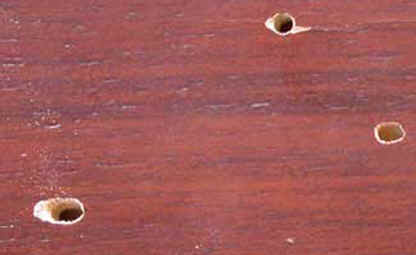 Pests r Us furniture restoration. Furniture restoration costa blanca