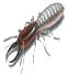 flying ants. ant infestation. ant killer. ant exterminate. ant spray. ant bait. ant control. ant deterrent. ant gel. ant granules. ants nest.