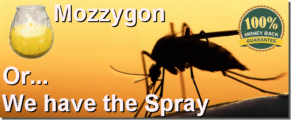 Tiger Mosquiito, Pest Control Orihuela