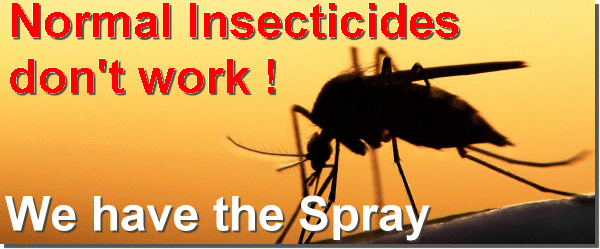 Tiger Mosquiito, Pest Control Pedreguer